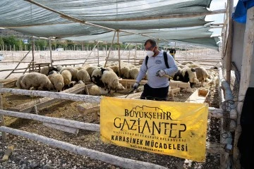 Gaziantep’te kurban bayramı tedbirleri aralıksız devam ediyor