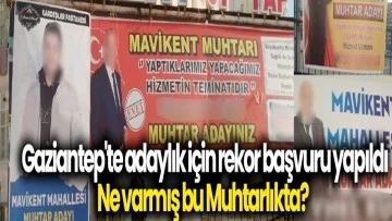 Gaziantep'te Muhtar Adayı Rekoru! Ne Var Bu Muhtarlıkta?