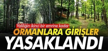 Gaziantep'te ormanlık alanlara girişler yasaklandı 