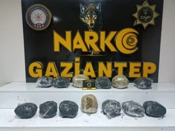 Gaziantep’te 8 kilo skunk ele geçirildi