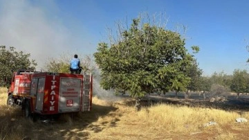 Gaziantep’te örtü yangınını itfaiye ve vatandaşlar söndürdü