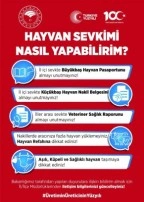 Hayvan hareketleri kontrol altında