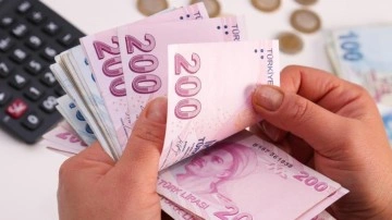 Hemen kontrol edin, 338 milyon lira yatırıldı. Bakanlık açıklama yaptı: Destek ödemeleri hesaplarda