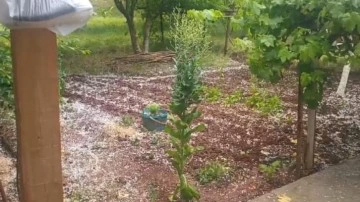 Iğdır'da ani dolu yağışı tarım arazilerine zarar verdi