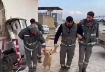 İşçilerin mola esnasında köpekle halayı güldürdü