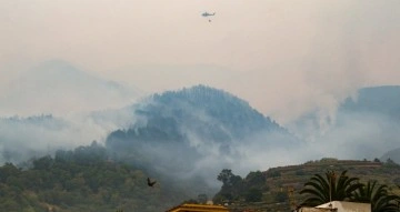 İspanya’nın Tenerife Adası yangınlarla boğuşuyor: 26 bin kişi tahliye edildi