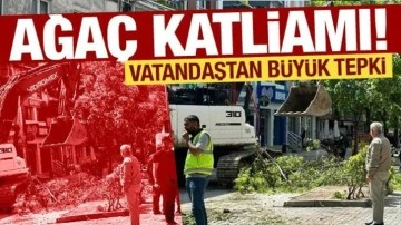 İstanbul'da ağaç katliamı! Esnaf ve vatandaş tepki gösterdi