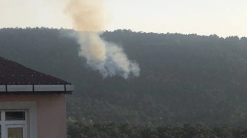 İstanbul'da orman yangını