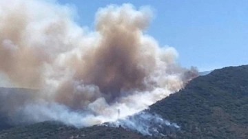 İzmir’de orman yangını: Havadan ve karadan müdahale başladı
