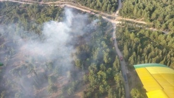 İzmir’de orman yangınına havadan ve karadan müdahale sürüyor