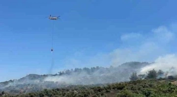 İzmir’de zeytinlikte çıkan yangına havadan ve karadan müdahale