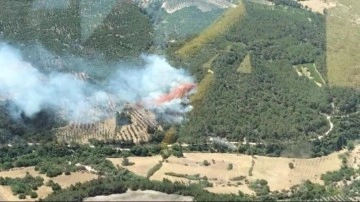 İzmir’deki orman yangını 20 saat sonra kontrol altına alındı