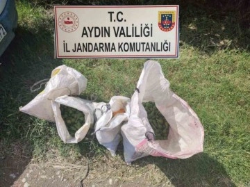 Jandarma’dan tarımsal ürün hırsızlığına geçit yok