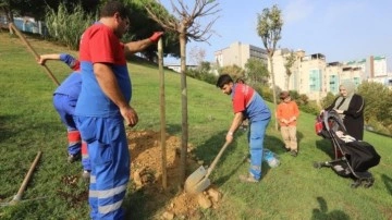 Kâğıthane Belediyesi ilçeye 60 bin ağaç kazandırdı