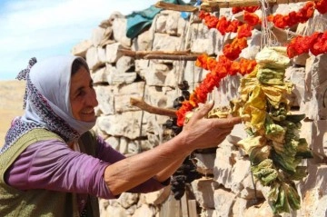 Kahramanmaraş’ta sebzeler kurutulup kışa hazırlanıyor