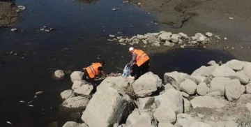 Karasu Çayı’nda kıyıya vuran balıklar toplanıp, çukura gömüldü