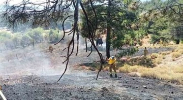 Kazdağları’ndaki örtü yangını ormana sıçramadan söndürüldü