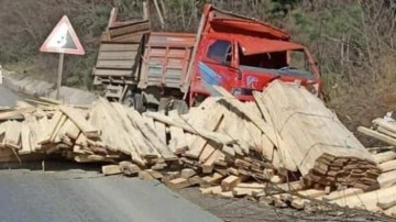 Kereste yüklü kamyonun freni patladı! Sürücü yaralandı