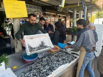 Kilis’te balık tezgahlarını Karadeniz hamsisi süslüyor