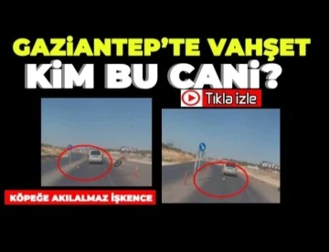 Köpeği araca bağlayıp sürükledi