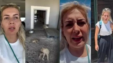 Köpekçi Buket ile ilgili olay iddialar! Kasiyerlikten patronluğa...