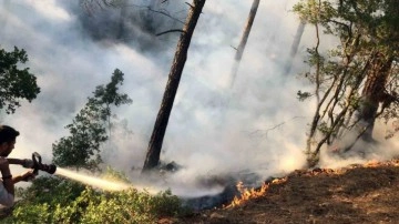 Köyceğiz Otmanlar’da dört gün içinde ikinci orman yangını