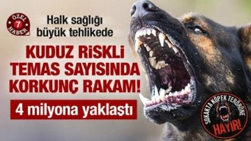 Kuduz riskli temas sayısında korkunç rakamlar: Son 15 yılda 4 milyon kişiye yaklaştı!