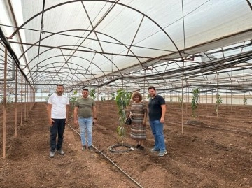 Kumluca’da tropik meyve yetiştiriciliği eğitimi