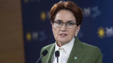 Meral Akşener AVM gezisinde görüntülendi