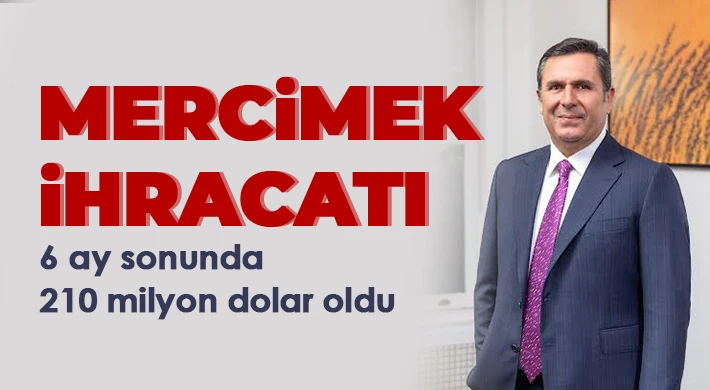 Mercimek ihracatı 6 ay sonunda 210 milyon dolar oldu