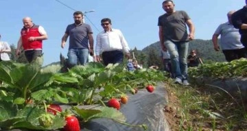 Meslek Liselilerden tarımsal üretime destek