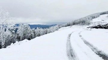 Meteoroloji'den kar ve çığ uyarısı! İşte 20 Şubat Salı günü bölge bölge, il il hava durumu...