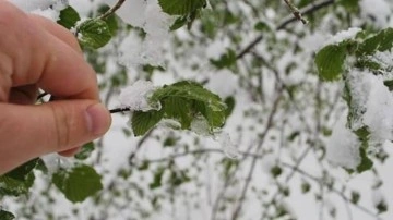 Meteoroloji'den zirai don uyarısı!