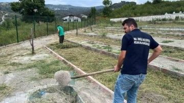 Mezarlıklarda bakım ve temizlik çalışmaları sürüyor