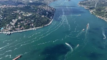 Müsilaj için 'ayı' benzetmesi! Uzmanlar uyardı: Denize sakın girmeyin!