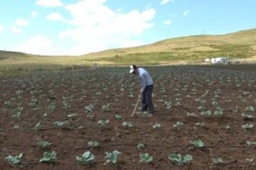 Muş'ta 30 yıl sonra bir ilk: Köylerine dönüp tarıma başladılar