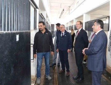 NEVÜ ve İtalya Tuscia Üniversitesi arasında iş birliği protokolü imzalandı