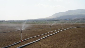 Niğde'de kuraklığa dayanıklı tohum ekildi