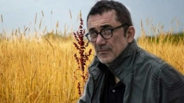 Nuri Bilge Ceylan: Belki de artık hiç film çekmem, bilmiyorum