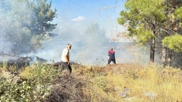 Otluk alanda çıkan yangın korkuttu