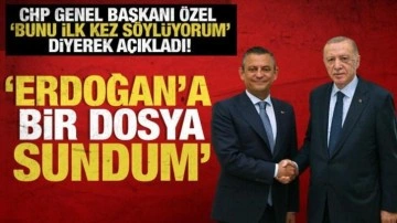 Özgür Özel, Cumhurbaşkanı Erdoğan ile görüşmesinden detayları anlattı