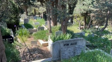 Pendik'te eski boksör arkadaşını döverek öldürdü, mezarlığa bırakıp kaçtı