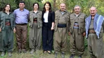 Pervin Buldan siyaseti bırakıyor: Mücadelenin farklı alanları vardır