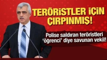 Polislere saldırıda DEM Parti parmağı! Öğrenci diye savundu