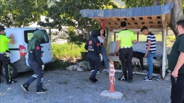 Sahipsiz köpeklerden kaçarken devrilen motosikletteki 2 kişi yaralandı