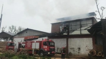 Sakarya'da orman ürünleri fabrikasında yangın