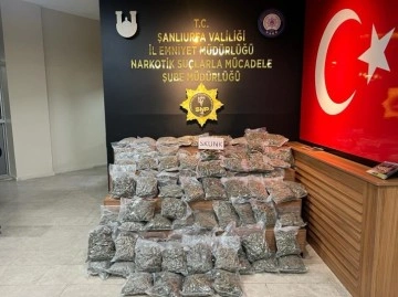 Şanlıurfa’da 46 kilo 500 gram skunk ele geçirildi