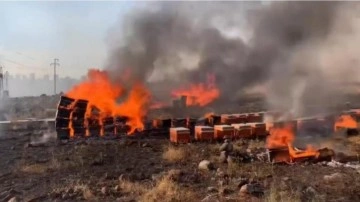 Şanlıurfa'da yangın: Yüzlerce arı kovanı kül oldu