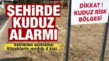 Şehirde kuduz köpek alarmı! Son dakika karantina kararı! Valilikten açıklama!