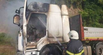 Seyir halindeki tır alev alev yandı, sürücü canını zor kurtardı